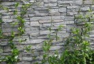 Kingston Segreen-walls-4.jpg; ?>